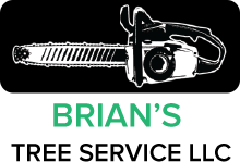 www.brians-treeservice.com