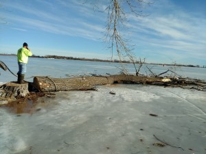 Brians-Tree-Service-Tree-on-Frozen-LakeIMG 20170213 094156589