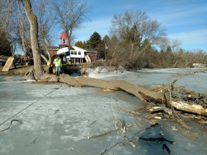 Brians-Tree-Service-Tree-on-Frozen-LakeIMG 20170213 094218741
