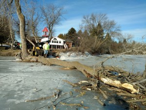 Brians-Tree-Service-Tree-on-Frozen-LakeIMG 20170213 094233949