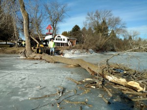 Brians-Tree-Service-Tree-on-Frozen-LakeIMG 20170213 094235604