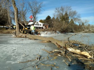 Brians-Tree-Service-Tree-on-Frozen-LakeIMG 20170213 094236766