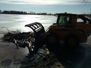 Brians-Tree-Service-Tree-on-Frozen-LakeIMG 20170213 105330723